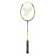 Yang Yang Y-Flash 100 racket