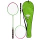 Green badminton set