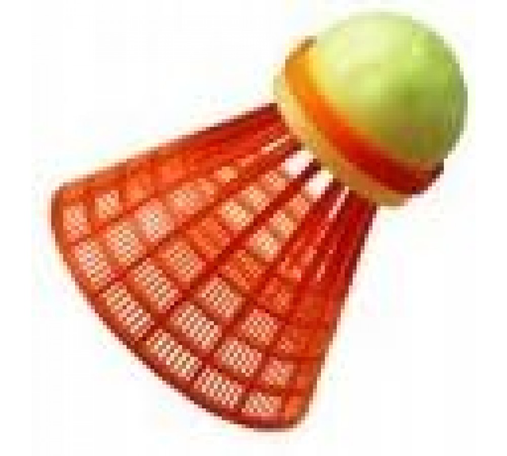 Set of Speedminton Tube Mix shuttlecocks (5 pcs)